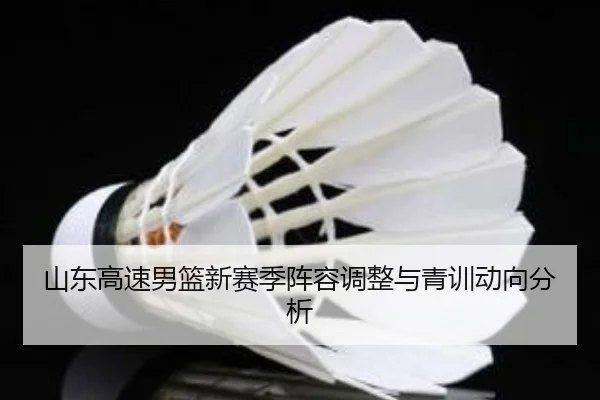 山东高速男篮新赛季阵容调整与青训动向分析（8868sports）